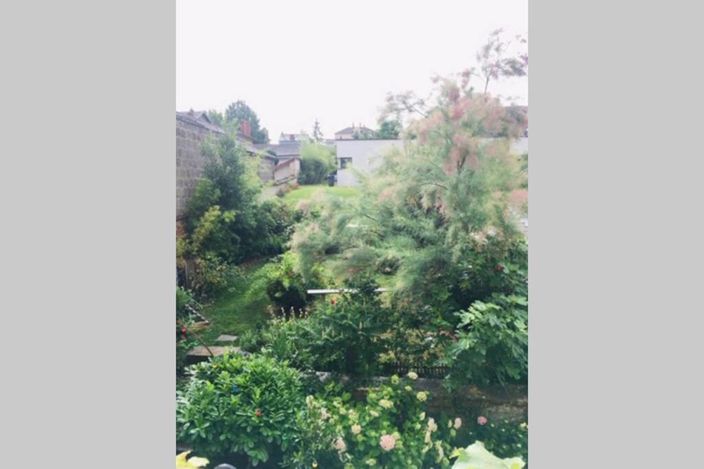 Chez Angele Centre Macon Appartement Chaleureux 외부 사진